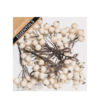 Bessen Wit 12 x 10 st.