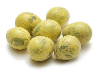 Kwarteleitjes 60 st. geel