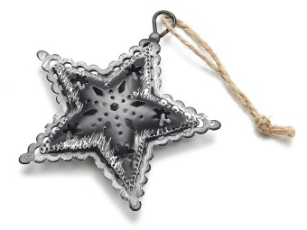 Hanger Ster 'Frosty'