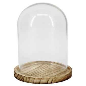 Glazen Stolp met Glazen Sokkel H14.5 D11.5 cm