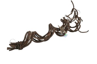 Liana Bundel 50 cm 8 st.