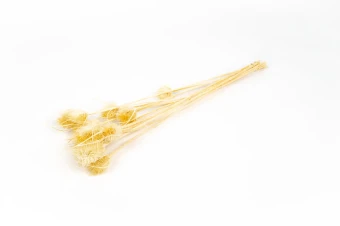 Weverkaarden Op Steel Gebleekt