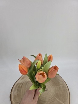 Tulpenbundel 30 cm Zalm