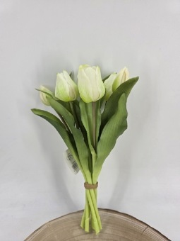 Tulpenbundel 30 cm Wit/Groen