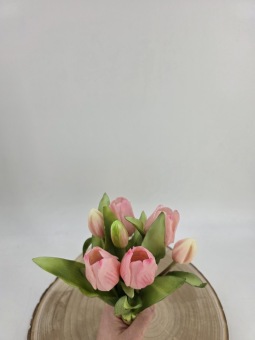Tulpenbundel 30 cm Licht Roze