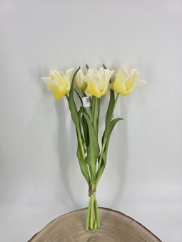 Tulpenbundel 40 cm Crème
