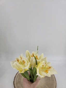 Tulpenbundel 40 cm Crème