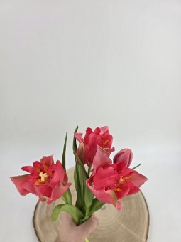Tulpenbundel 40 cm Kers