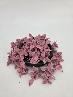 Cotton Pods 150 gr. Roze