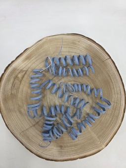 Cane Spring 10 st. Pastel Blauw