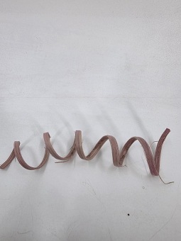 Cane Spring 10 st. Roze