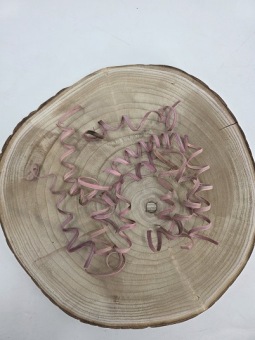 Cane Spring 10 st. Roze