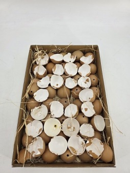 Kippenei Schalen Bruin