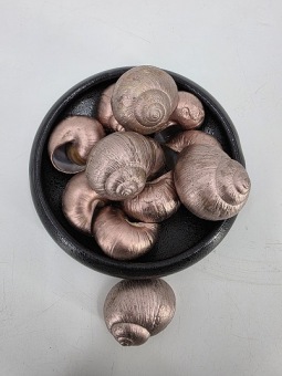 Landslakken Champagne 5 cm 12 st. 