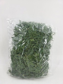 Curly Mos Groen 500 gr.