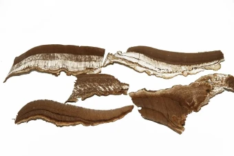 Funghi Slices Naturel 200 gr.