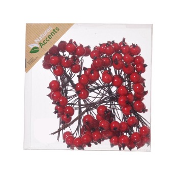 Bessen Rood 12 x 10 st.