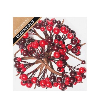 Bessen Rood Combi 8 x 24 st.