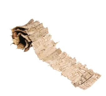 Berkenschors op rol 90 cm x 11 cm