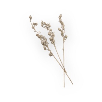 Black Berry White 3 takken