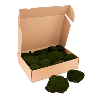 Bolmos geprepareerd mosgroen 1 kg