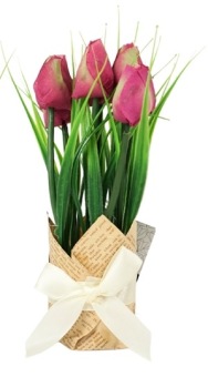 Tulpen In Cadeauverpakking Bordeaux