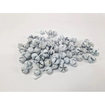 Chiloni 500 gr. Pastel Blauw