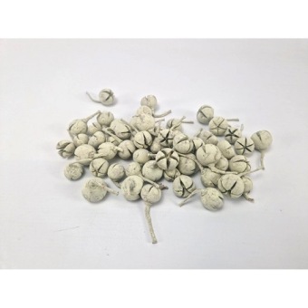 Chiloni 500 gr. Pastel Groen