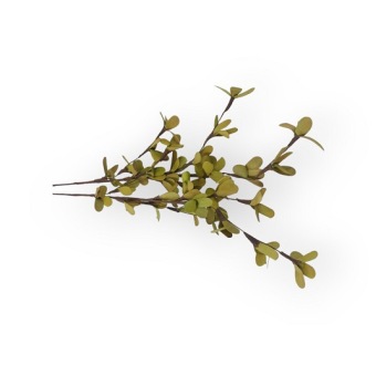 Lily Flower Groen 2 st.