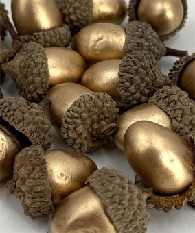 Eikels-in-dop-20st-goud