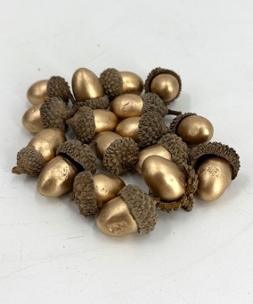 Eikels-in-dop-20st-goud