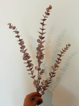 Kunstbloem Eucalyptus Fijn Rood