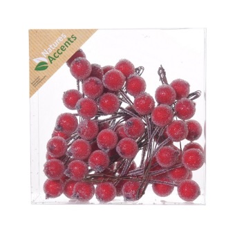 Bessen Gesuikerd Rood 11 x 6 st. 16 mm