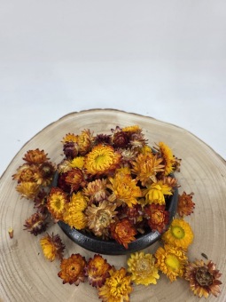 Helichrysum koppen geel ca 50 gr.