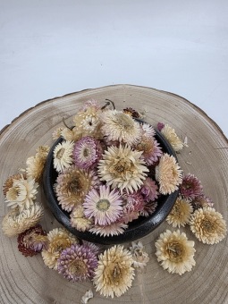 Helichrysum koppen licht roze +/- 50 gr.