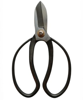 Ikebana Bonsai Schaar