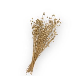 Lino Grass Goud 80 gr.