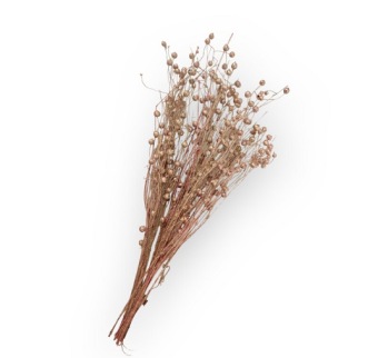 Lino Grass Parelmoer Roze 80 gr.