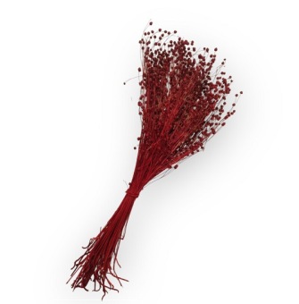 Lino Grass Rood 80 gr.