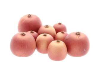 Malus Appeltjes 9 st.