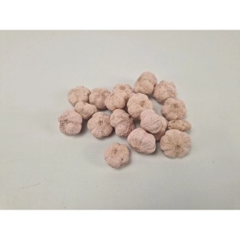 Mini Pumpkin 250 gr Pastel Roze