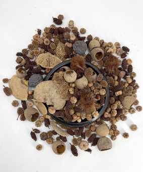 Exoten Mix 500 gr. Naturel