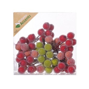 Bessen Gesuikerd Mix 11 x 6 st. 16 mm