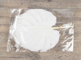 Monstera Blad Gepreserveerd Gebleekt 100 gr.