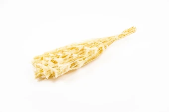 Nigella Orientalis Gebleekt