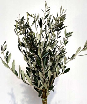 Olijf-takken-200-gram-bladgroen-bloemschikmateriaal-dentergem