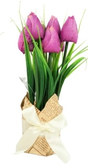 Tulpen In Cadeauverpakking Paars