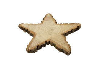 Paulownia Ster met Schors 25 cm