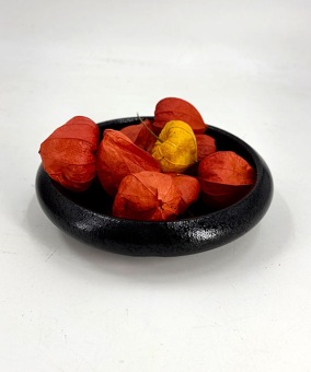 gedroogde Physalis oranje lampionnaturel