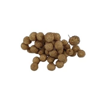 Plataanvrucht bussel goud